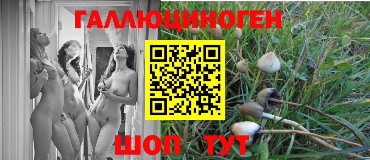 Псилоцибиновые грибы Psilocybine cubensis  Вход с VPN  Дубна 